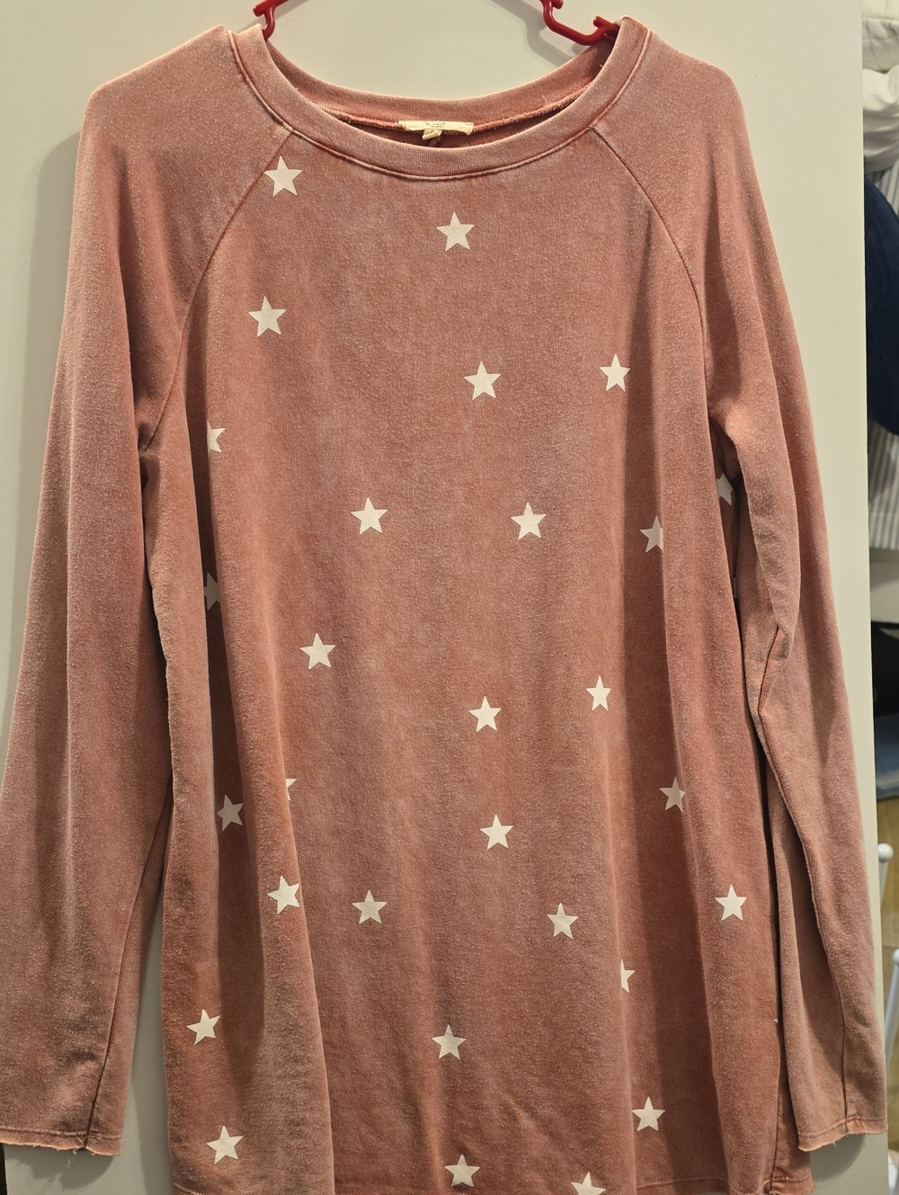 easel Dusty Rose Knit Crewneck Sweater